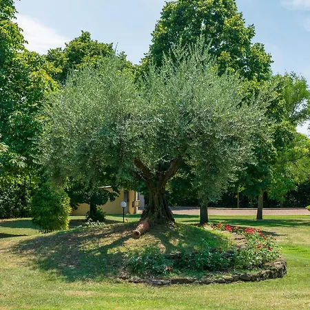 別荘 Beautiful In *