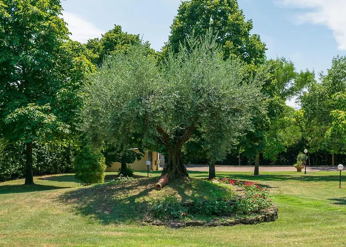 Tatil Evi Beautiful In Castiglion Fiorentino *